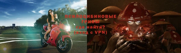 прущая мука Приозерск