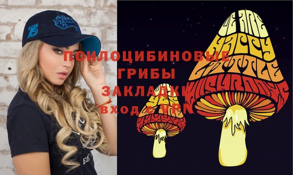 прущая мука Приозерск