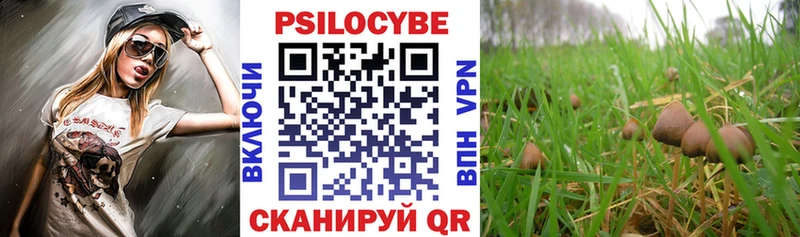 Псилоцибиновые грибы мухоморы Боровичи