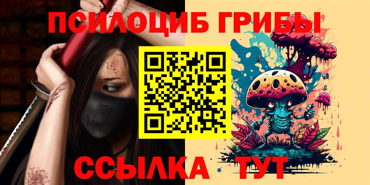 Псилоцибиновые грибы MAGIC MUSHROOMS  Боровичи  купить   Псилоцибиновые грибы Magic Shrooms 