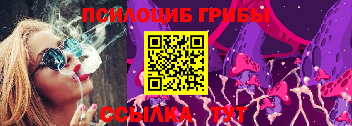 Галлюциногенные грибы Psilocybine cubensis Боровичи